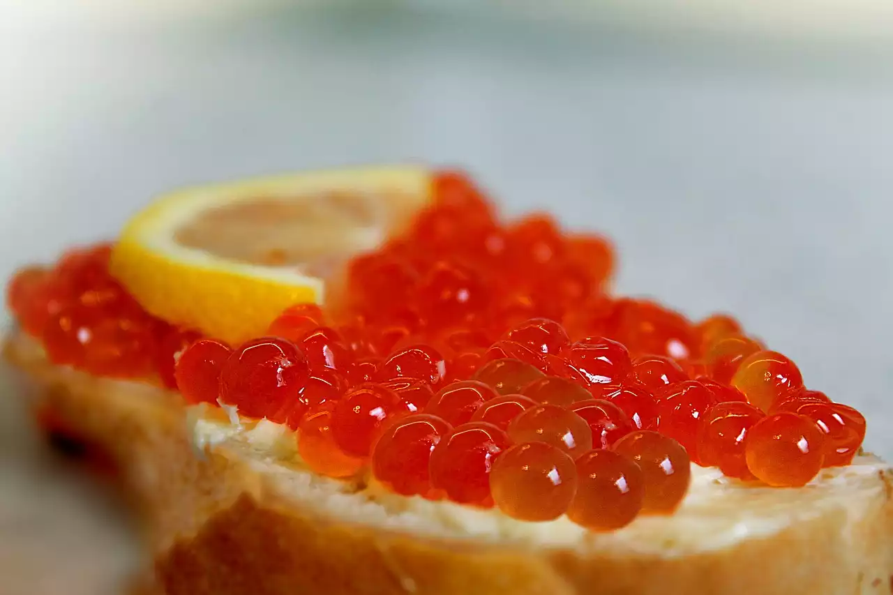 Comment la cuisine française est-elle devenue la référence en matière de gastronomie ?