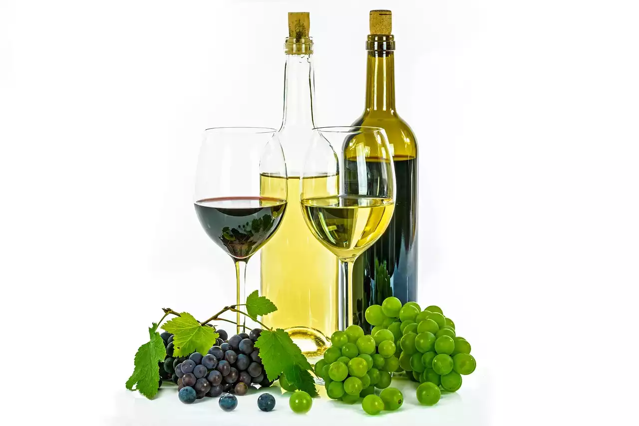 Le guide ultime du vin français : histoire, production et accords